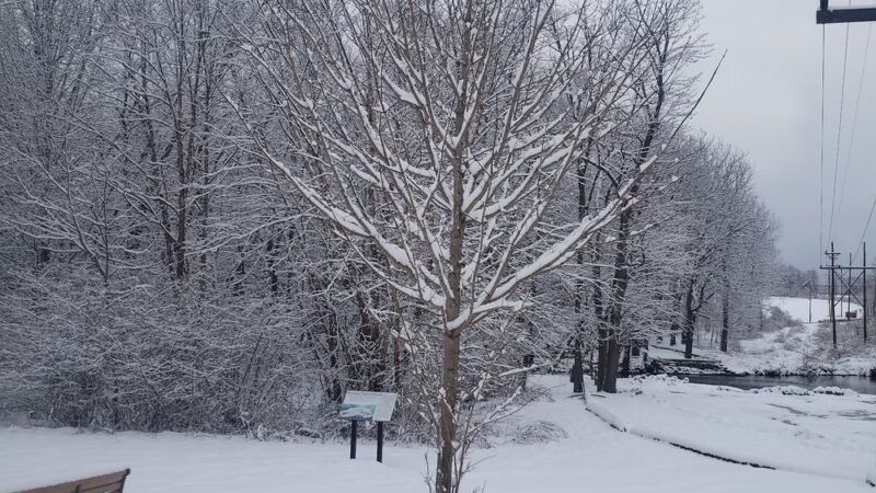 Hampton Borough Park - Hampton, NJ