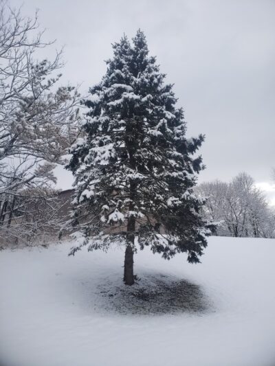 Hampton Borough Park - Hampton, NJ