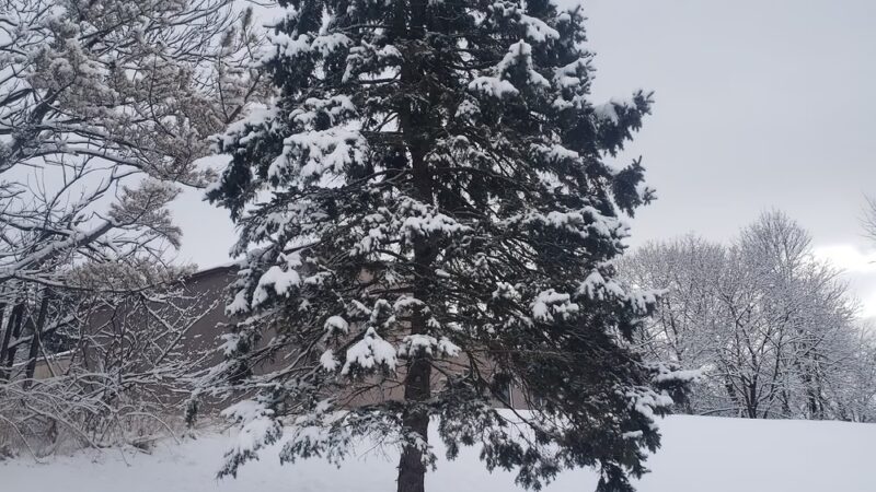 Hampton Borough Park - Hampton, NJ