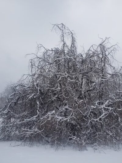 Hampton Borough Park - Hampton, NJ