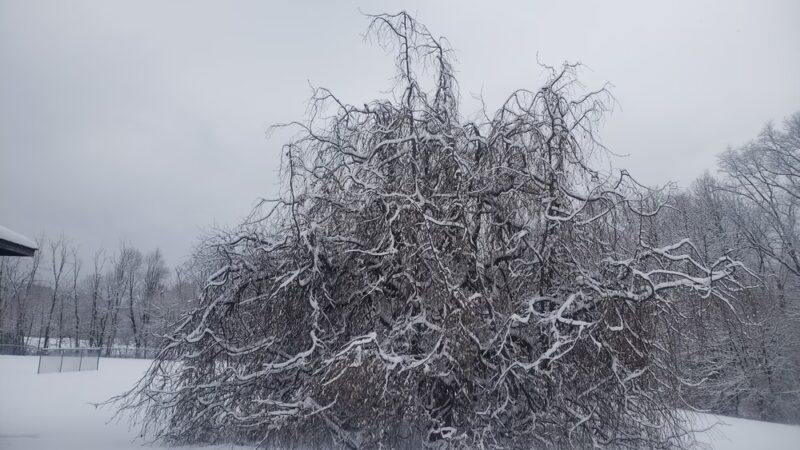 Hampton Borough Park - Hampton, NJ