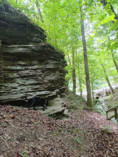 Perry Ray Park - Hanceville, AL