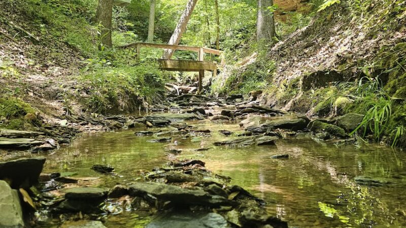 Perry Ray Park - Hanceville, AL