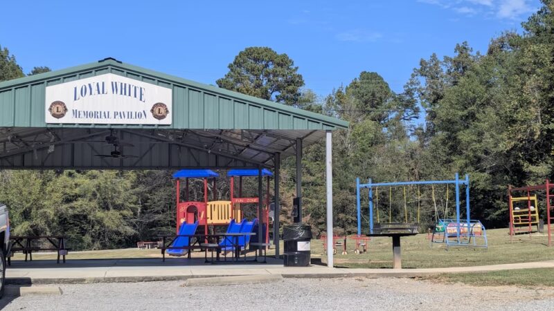 Perry Ray Park - Hanceville, AL