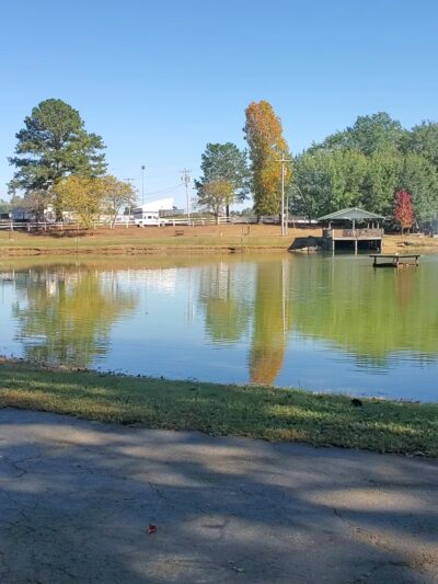 Veterans Memorial Park - Hanceville, AL