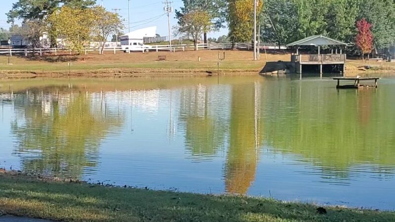 Veterans Memorial Park - Hanceville, AL