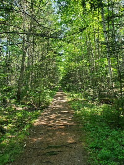 Old Pond Railway Trail - Hancock, ME