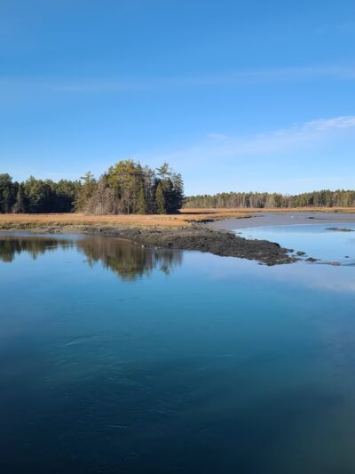 Old Pond Railway Trail - Hancock, ME