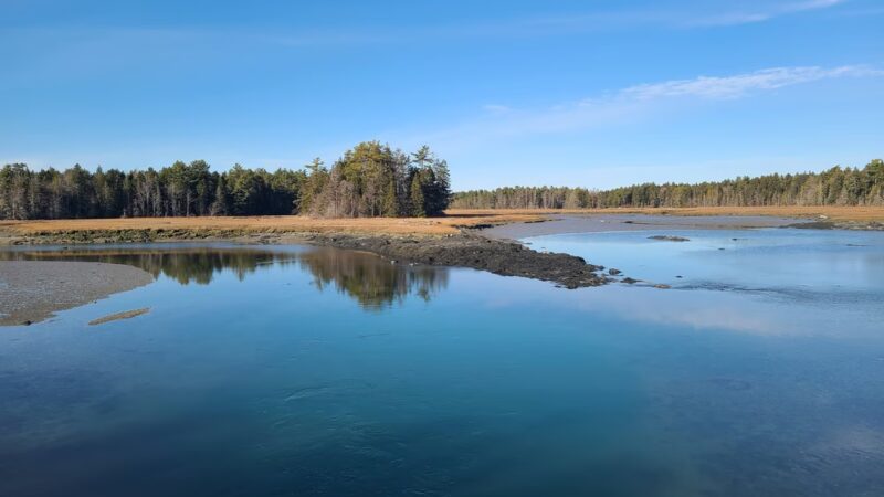 Old Pond Railway Trail - Hancock, ME