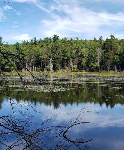 Harrisville Rail Trail - Hancock, NH