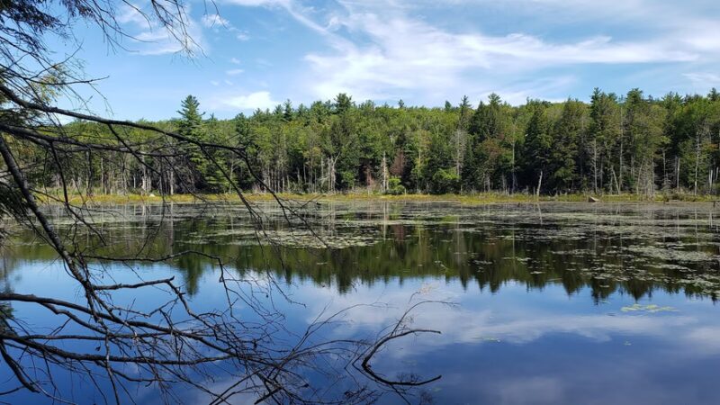 Harrisville Rail Trail - Hancock, NH