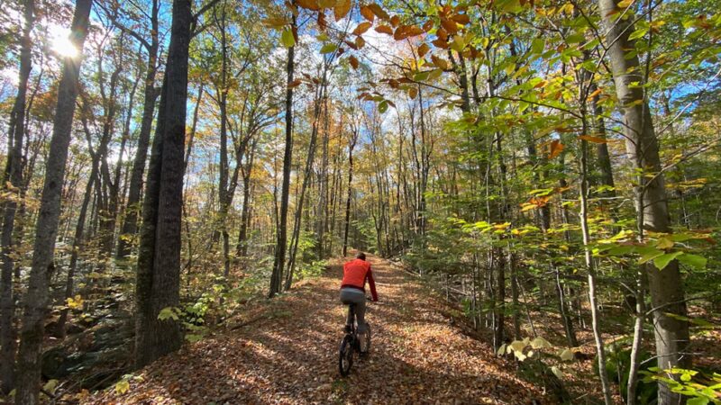 Harrisville Rail Trail - Hancock, NH