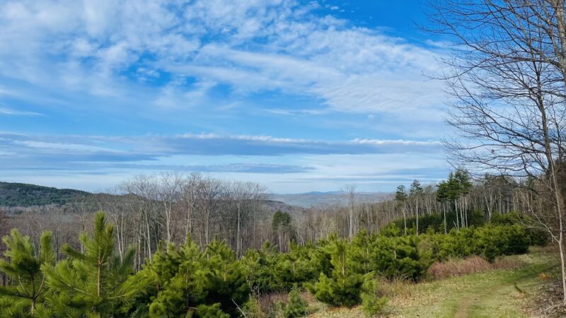 Trescott Water Company Lands - Trescott Rd Trailhead - Hanover, NH