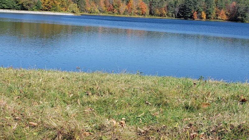 Trescott Water Company Lands - Trescott Rd Trailhead - Hanover, NH