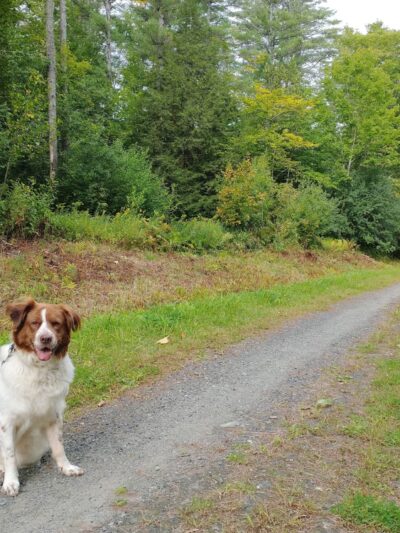 Trescott Water Company Lands - Trescott Rd Trailhead - Hanover, NH