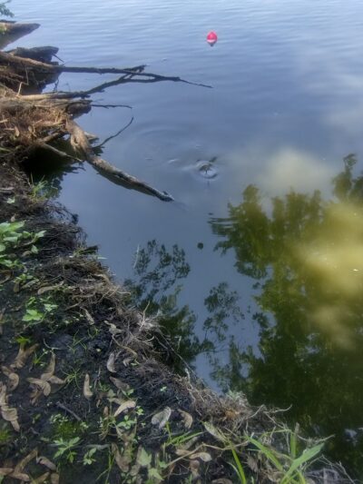 Lake Hanska County Park - Hanska, MN