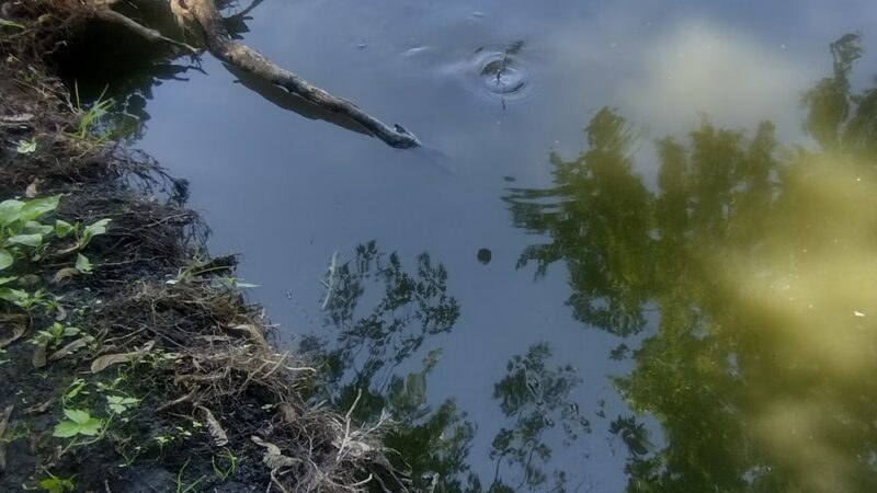 Lake Hanska County Park - Hanska, MN