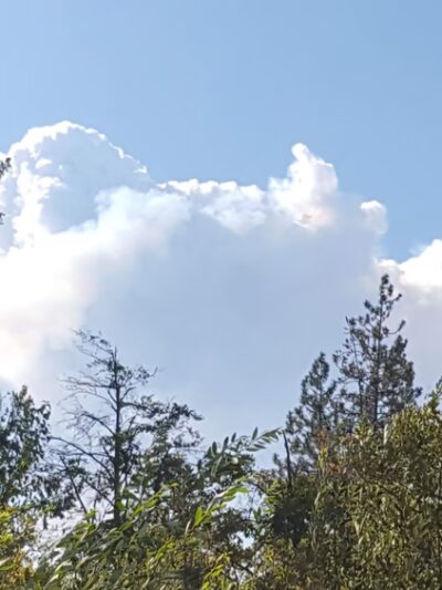 Happy Camp River Park - Happy Camp, CA