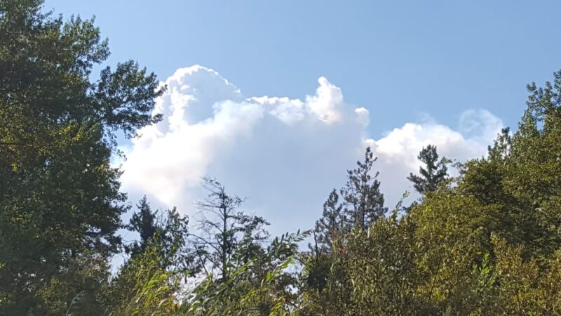 Happy Camp River Park - Happy Camp, CA