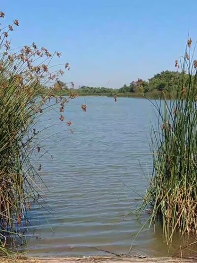 Ken Malloy Harbor Regional Park - Harbor City, CA
