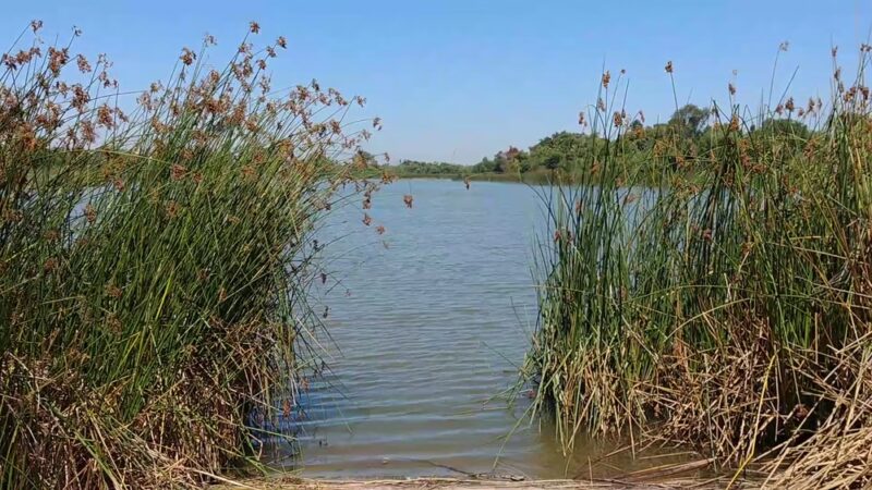 Ken Malloy Harbor Regional Park - Harbor City, CA