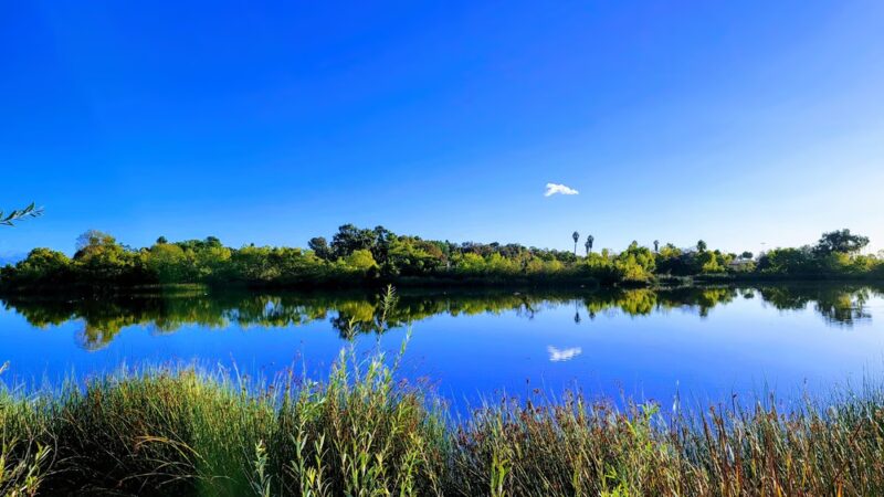 Ken Malloy Harbor Regional Park - Harbor City, CA