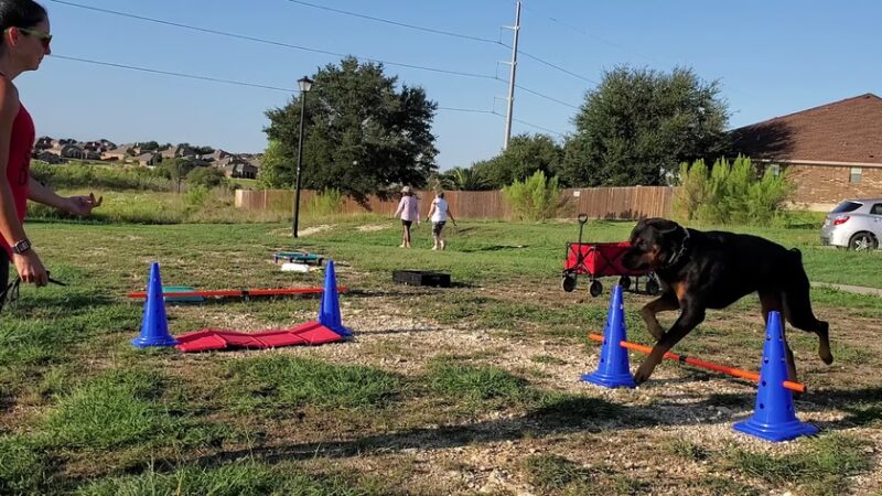 Purser Family Park - Harker Heights, TX