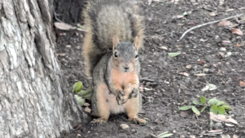 Purser Family Park - Harker Heights, TX
