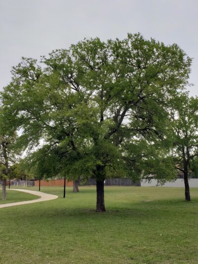 Purser Family Park - Harker Heights, TX