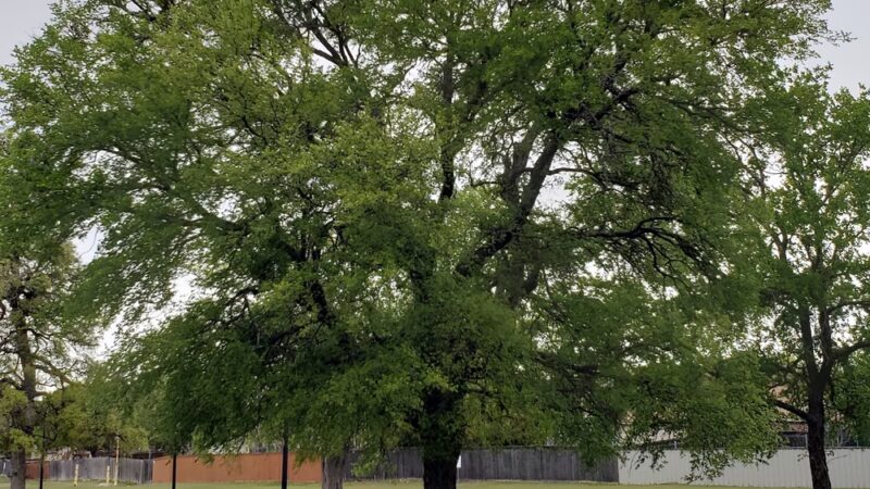Purser Family Park - Harker Heights, TX