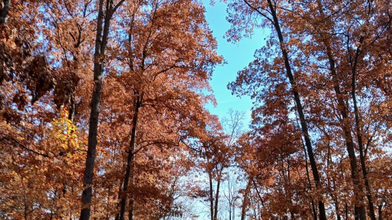 Alderfer Memorial Park - Harleysville, PA