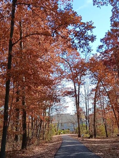 Alderfer Memorial Park - Harleysville, PA
