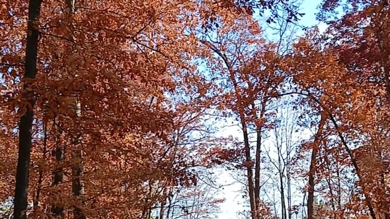 Alderfer Memorial Park - Harleysville, PA