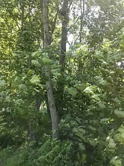 Alvin C Alderfer Recreation Area - Harleysville, PA