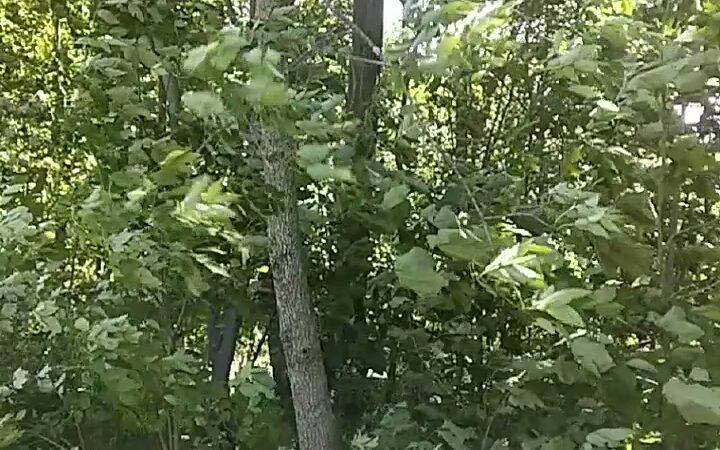 Alvin C Alderfer Recreation Area - Harleysville, PA