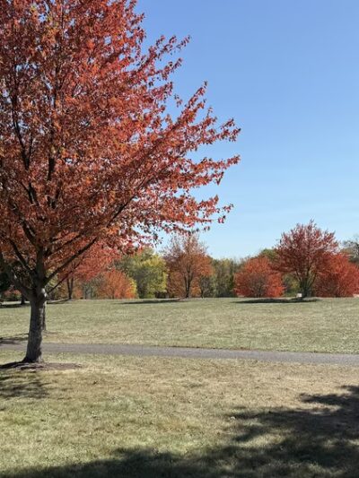 Alvin C Alderfer Recreation Area - Harleysville, PA