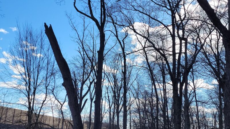 Firehouse Park - Harleysville, PA