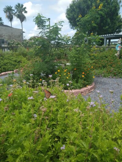 Combes Community Park - Harlingen, TX