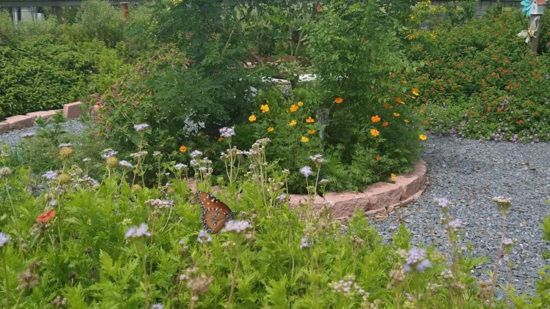 Combes Community Park - Harlingen, TX