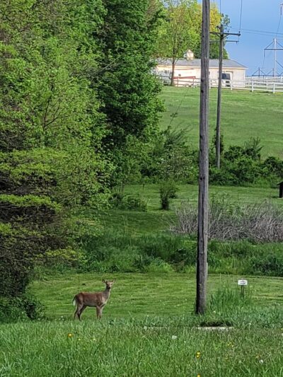 Sam Michael's Park - Harpers Ferry, WV