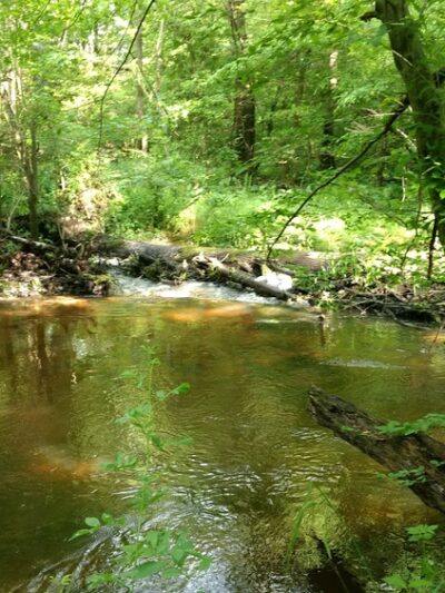Browns Branch County Park - Harrington, DE