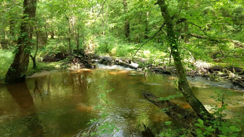 Browns Branch County Park - Harrington, DE