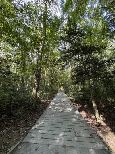 Browns Branch County Park - Harrington, DE