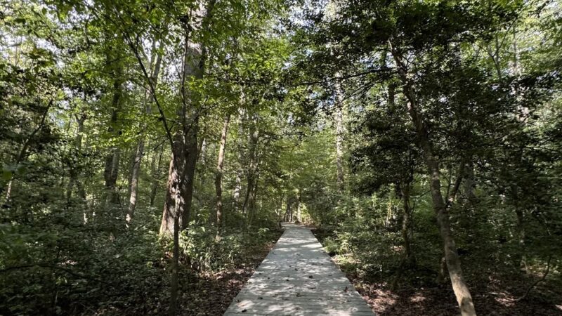 Browns Branch County Park - Harrington, DE