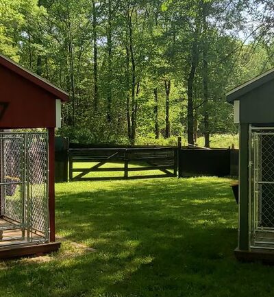 Marley & Apple Dog Village - Harrington, DE