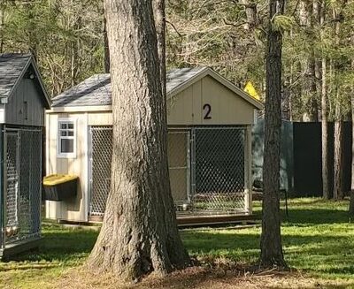 Marley & Apple Dog Village - Harrington, DE