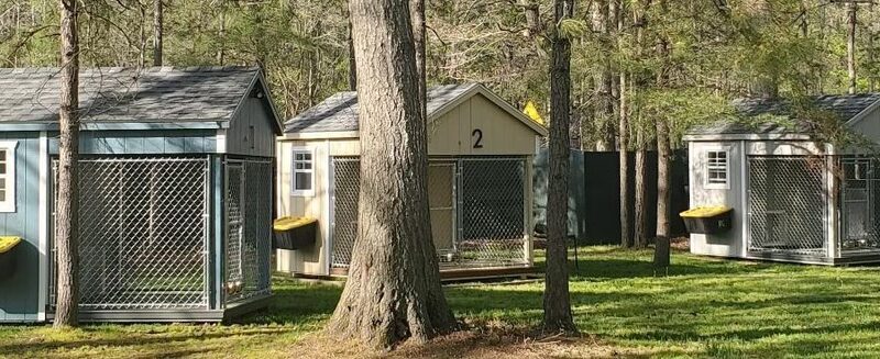 Marley & Apple Dog Village - Harrington, DE