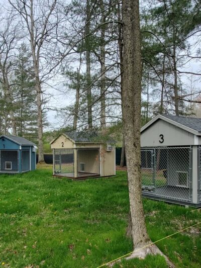 Marley & Apple Dog Village - Harrington, DE