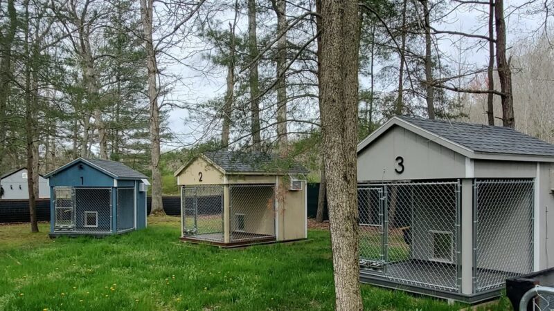 Marley & Apple Dog Village - Harrington, DE