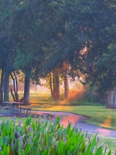 Harris Depot Park - Harrisburg, NC